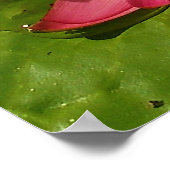 Bloom Poster (Hoek)