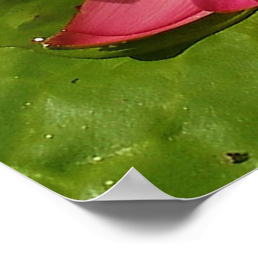 Bloom Poster (Hoek)
