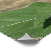 Bloom waar je bent gepland - Prairie Flower print (Hoek)