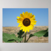 Bloom waar je bent gepland - Prairie Flower print (Voorkant)