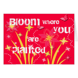 Bloom waar je bent geplant