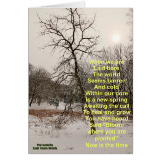 Bloom waar je bent geplant