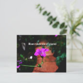 Bloom waar je bent geplant briefkaart (Staand voorkant)