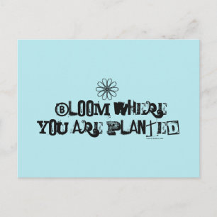 Bloom waar je bent geplant. briefkaart