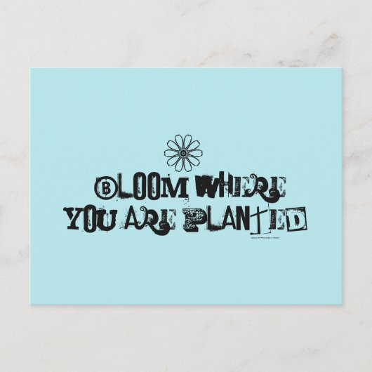 Bloom waar je bent geplant. briefkaart (Voorkant)