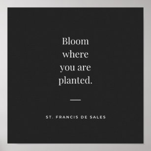 Bloom waar je bent geplant St Francis de Sales Poster