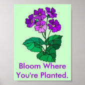 Bloom waar je geplant Poster bent (Voorkant)