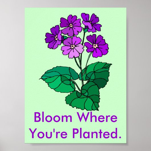 Bloom waar je geplant Poster bent (Voorkant)