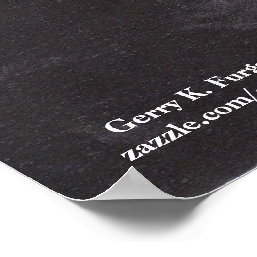 "BLOOM WAAR JE GEPLANTEERD BENT" POSTER (Hoek)