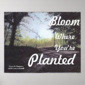 "BLOOM WAAR JE GEPLANTEERD BENT" POSTER (Voorkant)