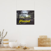"BLOOM WAAR JE GEPLANTEERD BENT" POSTER (Keuken)