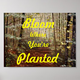 "BLOOM WAAR JE GEPLANTEERD BENT" POSTER