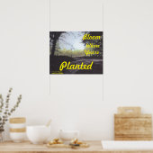 "BLOOM WAAR JE GEPLANTEERD BENT" POSTER (Keuken)