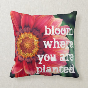 Bloom waar u bent geplant kussen