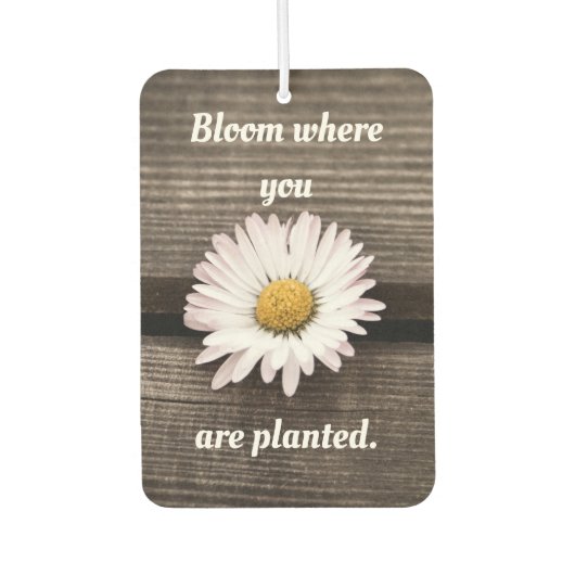 Bloom waar u bent geplant luchtverfrisser (Voorkant)