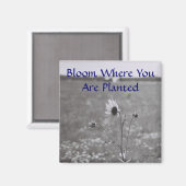 Bloom waar u bent geplant magneet