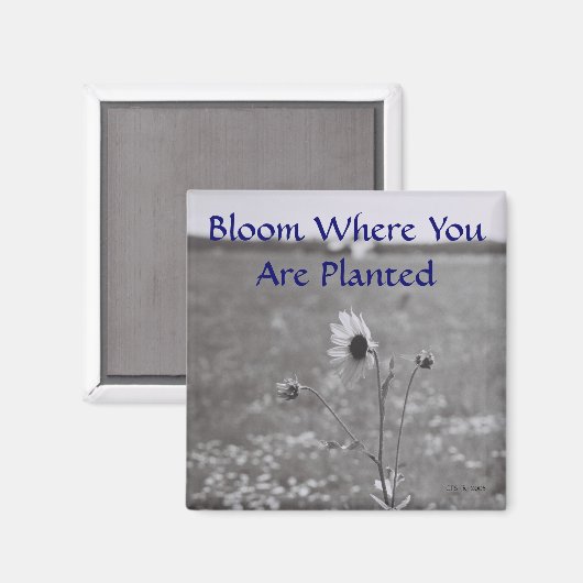 Bloom waar u bent geplant magneet (Voorkant / Achterkant)