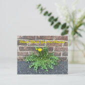 Bloom waar u bent geplant met Dandelion Flower Briefkaart (Staand voorkant)