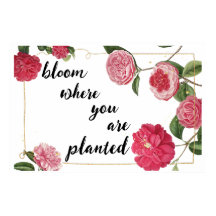 Bloom waar u bent geplant