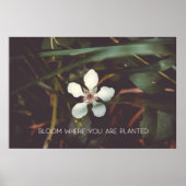 Bloom waar u bent geplant poster (Voorkant)