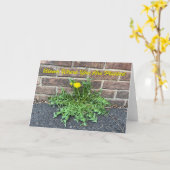 Bloom waar u de foto van Dandelion hebt geplant Kaart (Gele Bloem)