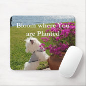 Bloom waar u geplant mousepad afbeelding bent muismat (Met muis)