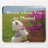 Bloom waar u geplant mousepad afbeelding bent muismat (Voorkant)