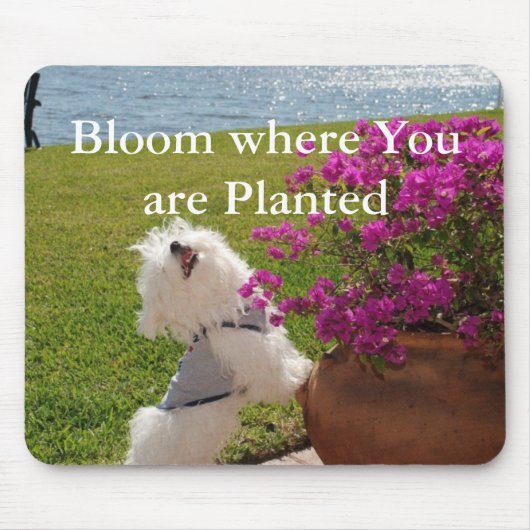 Bloom waar u geplant mousepad afbeelding bent muismat (Voorkant)