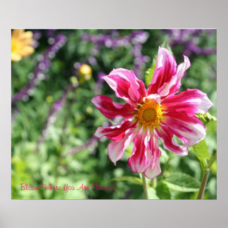 Bloom waar u geplant Poster bent