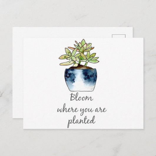 Bloom waar u Succulent bent geplant Briefkaart (Voorkant / Achterkant)