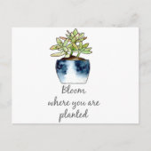 Bloom waar u Succulent bent geplant Briefkaart (Voorkant)