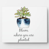 Bloom waar u Succulent bent geplant Fotoplaat (Voorkant)