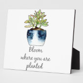 Bloom waar u Succulent bent geplant Fotoplaat (Zijkant)