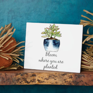 Bloom waar u Succulent bent geplant Fotoplaat