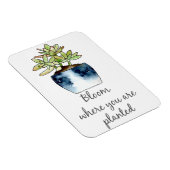 Bloom waar u Succulent Magnet wordt geplant Magneet (Rechterzijde)