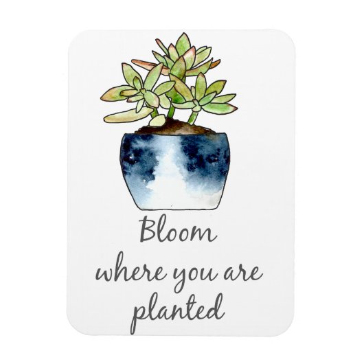 Bloom waar u Succulent Magnet wordt geplant Magneet (Verticaal)