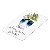 Bloom waar u Succulent Magnet wordt geplant Magneet (Linkerzijde)