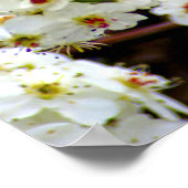 Bloombomen in de lente poster (Hoek)