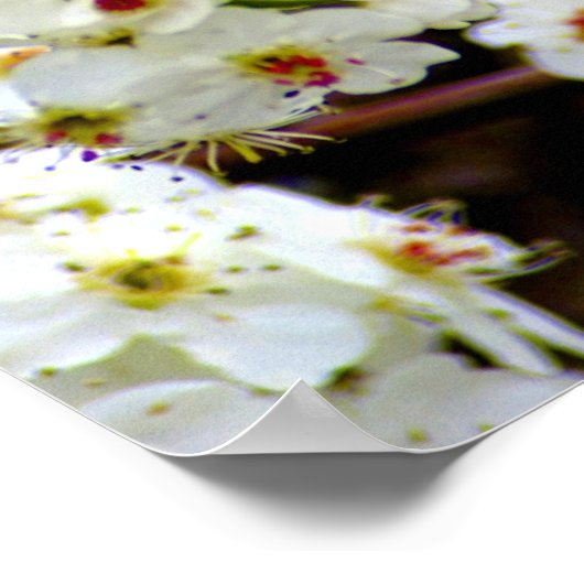 Bloombomen in de lente poster (Hoek)