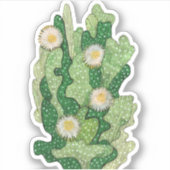 Bloomcactus, succulente bloemen, woestijnplanten sticker (Voorkant)