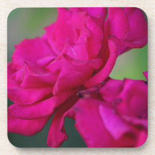 Bloomed Roze Rose Bier Onderzetter