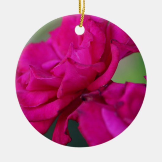Bloomed Roze Rose Keramisch Ornament (Voorkant)
