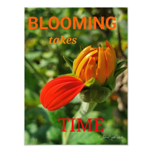 BLOOMEN kost Tijd Foto Afdruk (Voorkant)