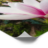 Bloomende grote roze magnolibloemen poster (Hoek)