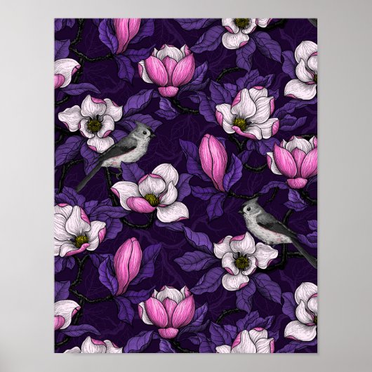 Bloomende magnolia en titmuis bird 4 poster (Voorkant)