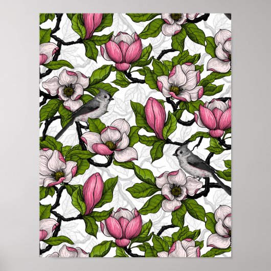 Bloomende magnolia en titmuisvogel poster (Voorkant)