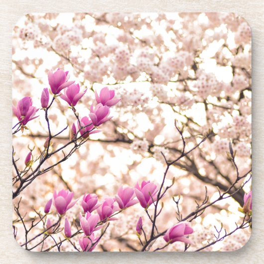 Bloomende roze Paarse Magnolias Spring Flower Bier Onderzetter (Voorkant)