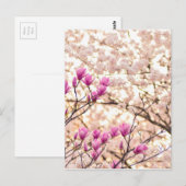 Bloomende roze Paarse Magnolias Spring Flower Briefkaart (Voorkant / Achterkant)