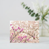 Bloomende roze Paarse Magnolias Spring Flower Briefkaart (Staand voorkant)