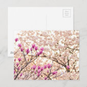 Bloomende roze Paarse Magnolias Spring Flower Briefkaart (Voorkant / Achterkant)